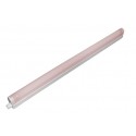 PINK NEON LIGHTING \'\'NATURAL\'\' FOR SHELF