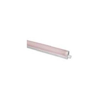 LIDO PINK SHELVES LIGHTING