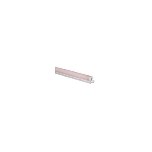 LIDO PINK SHELVES LIGHTING