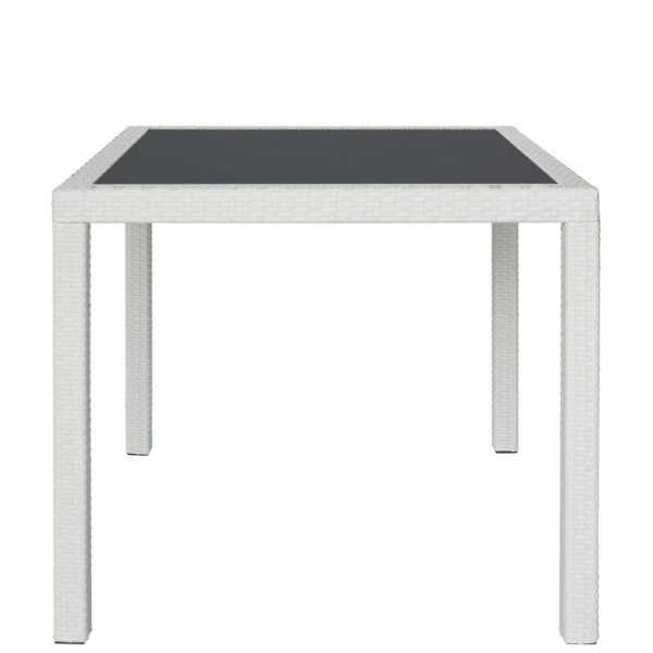 TABLE with aluminum structure