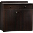 LOW ROOM CABINET WITH 2 DOORS